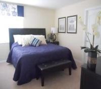 Paradise Palms Resort - Guest Room